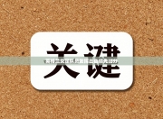 英格兰女足队员发挥出色领先比分