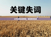 公牛主场击溃黄蜂，重回胜利轨道