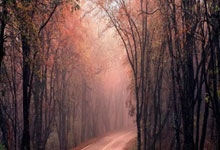 电子厂见!中乙赣州瑞狮门将连续手滑将球漏入自家球门,江西瑞狮