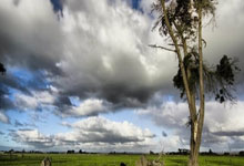 电子厂见!中乙赣州瑞狮门将连续手滑将球漏入自家球门,江西瑞狮