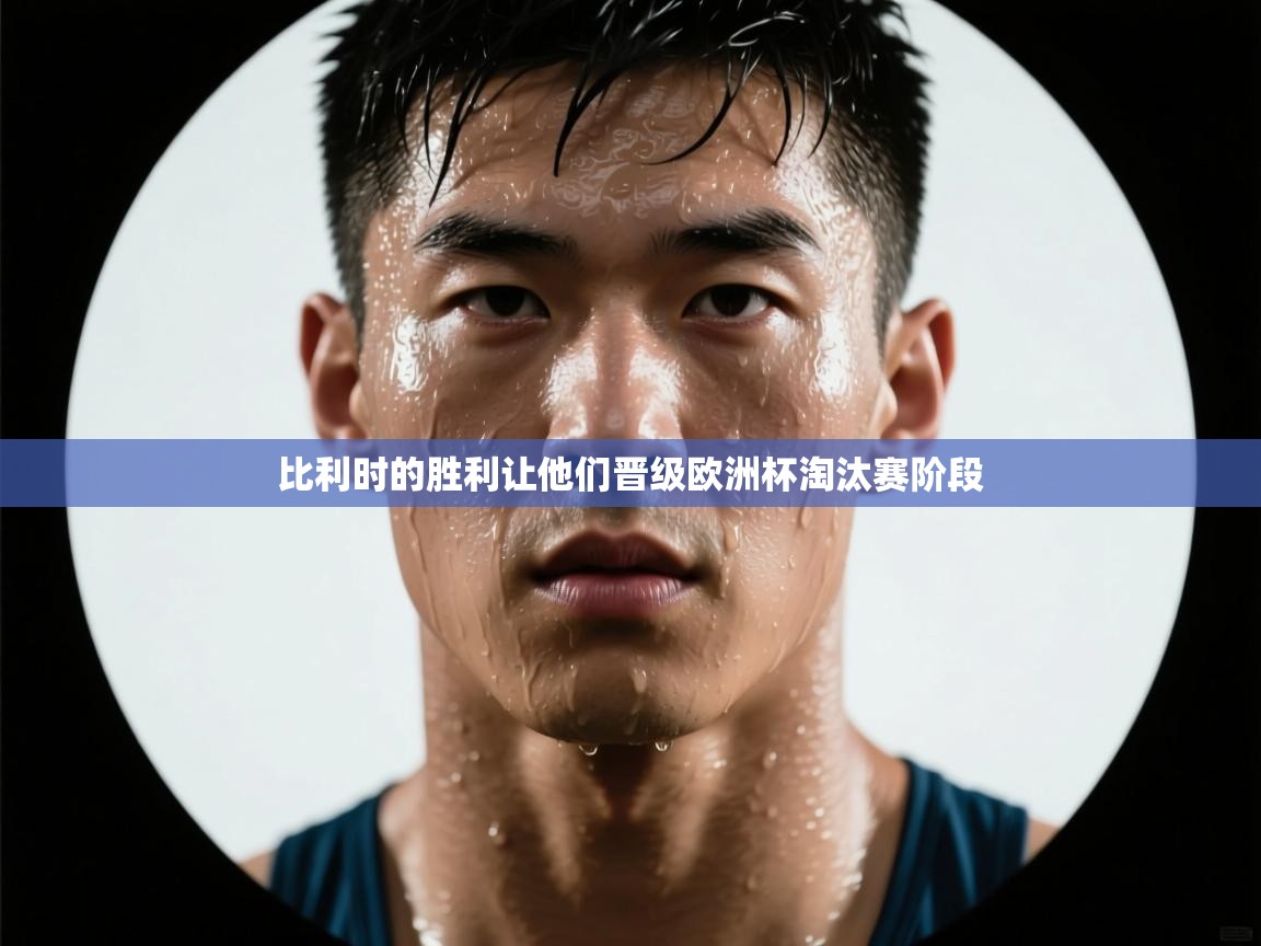 比利时的胜利让他们晋级欧洲杯淘汰赛阶段  第2张