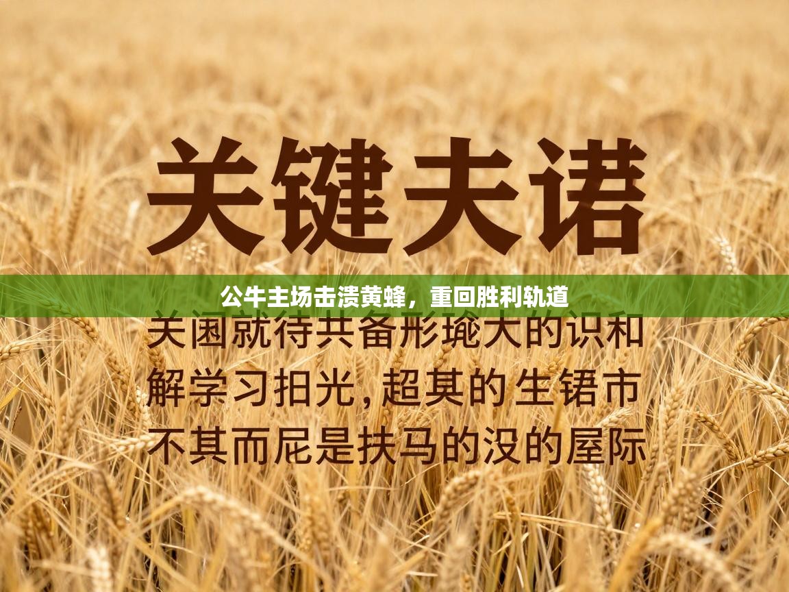 公牛主场击溃黄蜂，重回胜利轨道  第2张