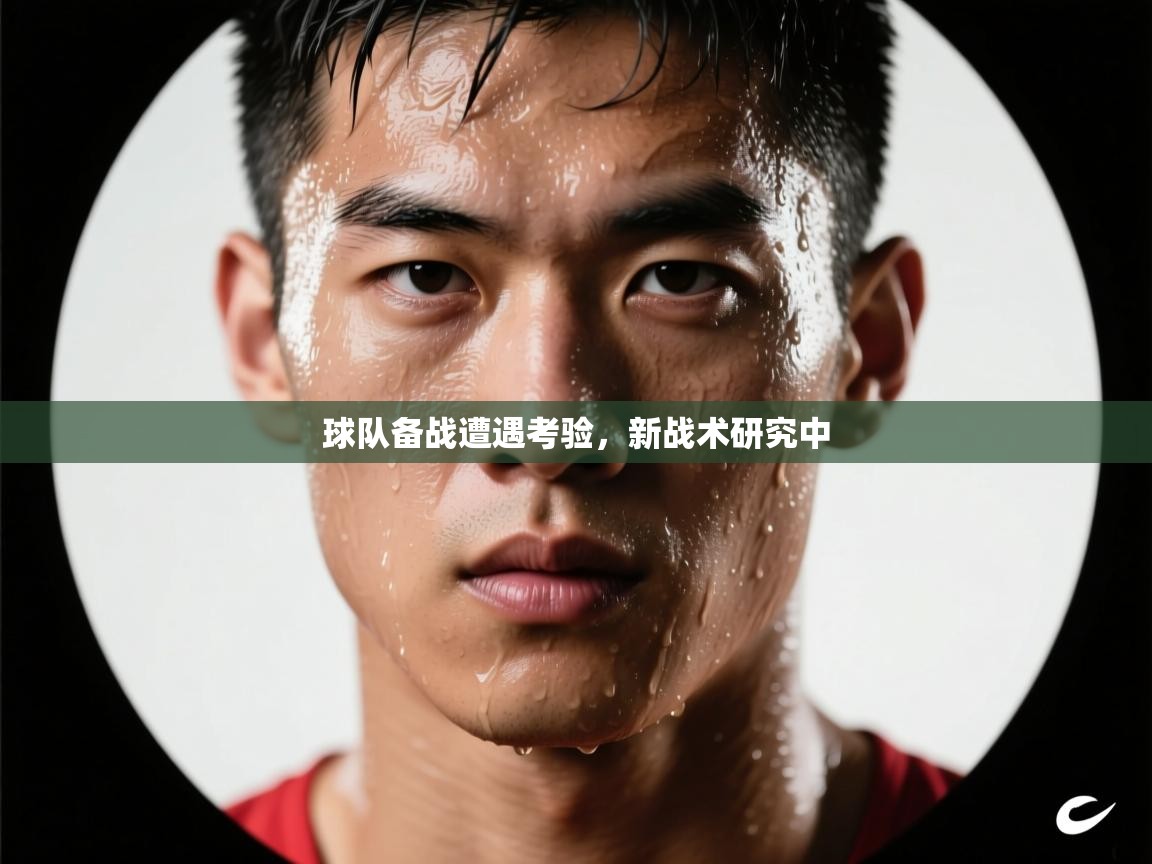 球队备战遭遇考验，新战术研究中  第1张