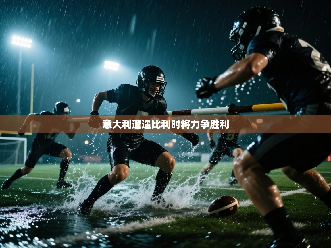 意大利遭遇比利时将力争胜利 第2张